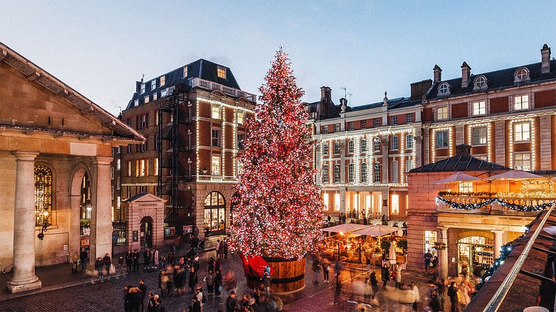 Christmas tree at Covent Garden at night 
