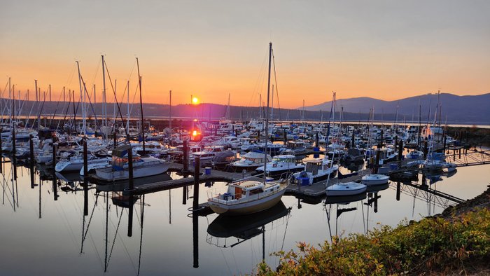 Fishing From Our Waterfront Hotel - Dockside Marina & Resort