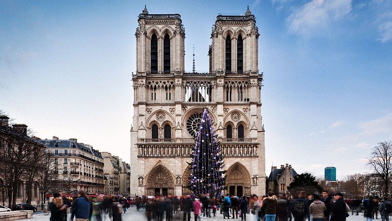 Christmas tree in front of Notre-Dame Cathedral - Paris, France