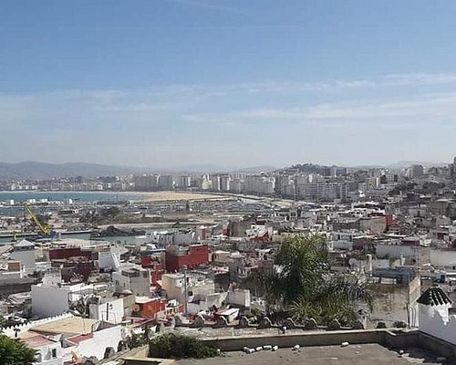mohamed said tangier tours