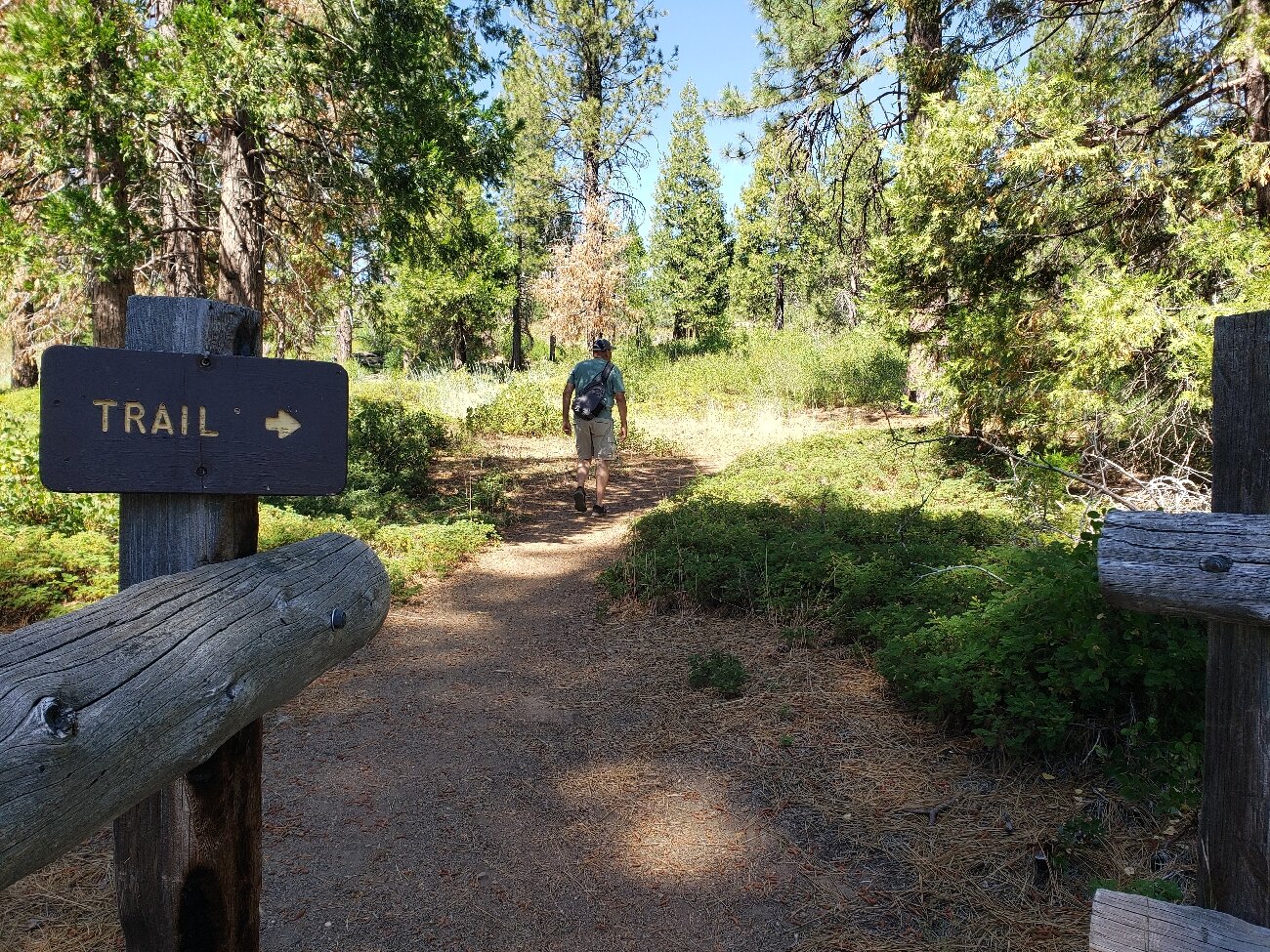 Boole tree clearance trail