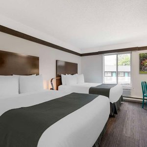 Double Queen Guestroom