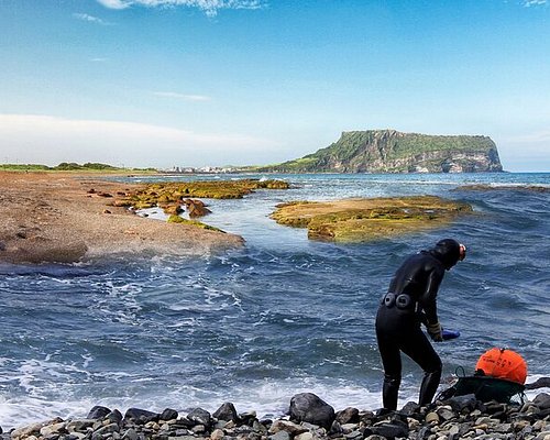 THE 10 BEST Jeju Tours & Excursions for 2024 (with Prices)