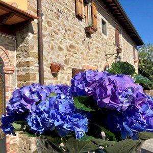 Facciata esterna 
