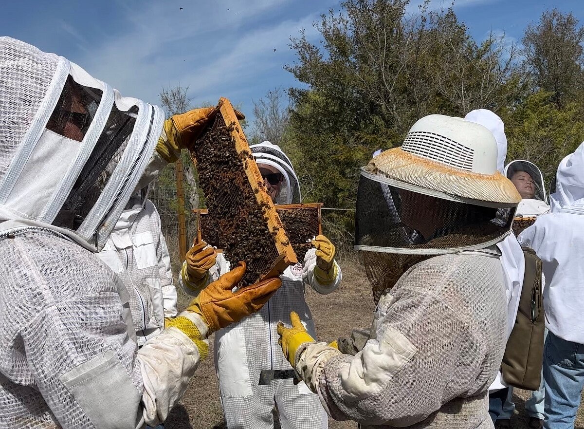 Bee's Wrap – Two Hives Honey – Honey and Hive Tours in Austin, TX