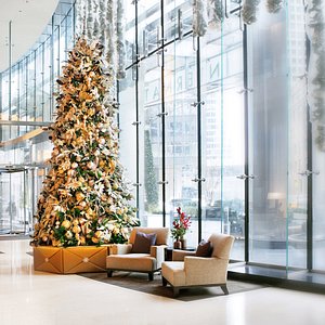 Trump Chicago Lobby Christmas Tree Day