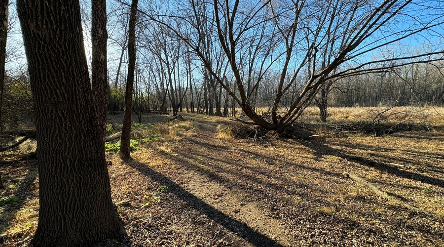 Minnesota Valley State Recreation Area Hiking Club Trail.