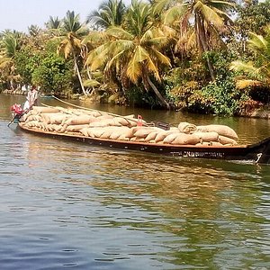 Night fishing in the backwaters of Kerala #india #kerala