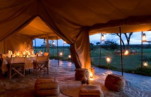 Ubuntu Migration Camp (Asilia Africa), Serengeti Tanzania - AfricanMecca  Safaris & Tours