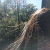 vida_ix