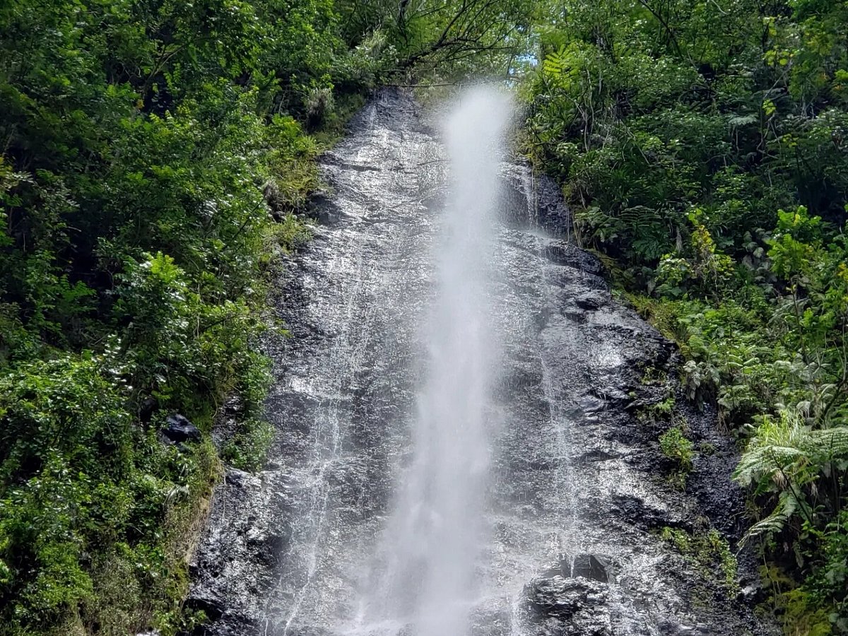 Moorea Vip Tours (Polinesia Prancis) - Review - Tripadvisor