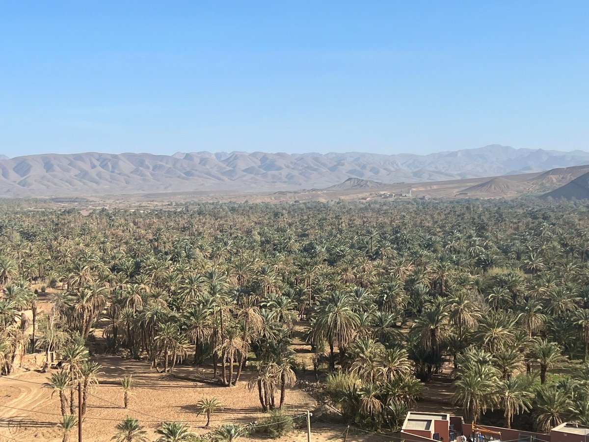 Deserto com areia movediça - Avaliações de viajantes - Wadi Araba Desert -  Tripadvisor