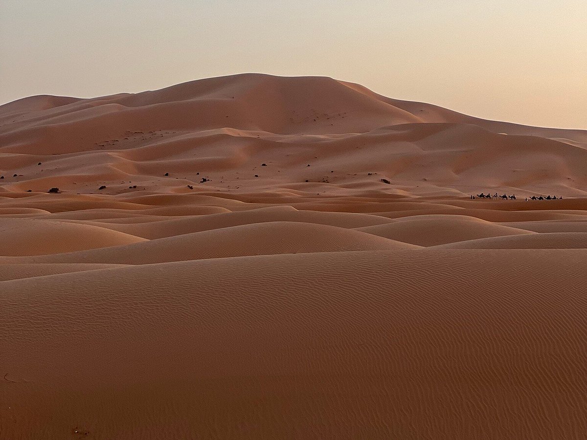 Deserto com areia movediça - Avaliações de viajantes - Wadi Araba Desert -  Tripadvisor