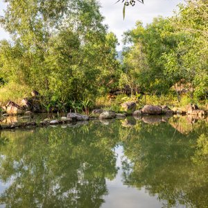 Natural fresh swimming pool