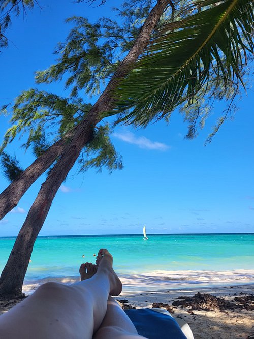 Vista Sol Punta Cana Beach Resort & Spa - UPDATED 2023 Prices, Reviews ...