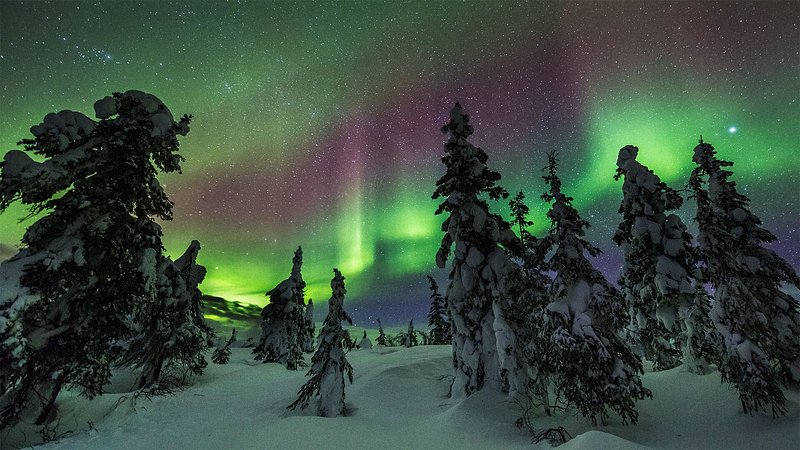 The northern lights over Fairbanks, Alaska, in the winter