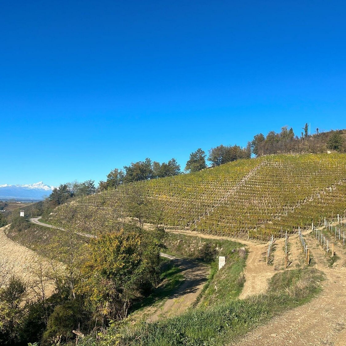 Marin Falcone Metodo Classico All You Need To Know BEFORE You Go 2024 marin-falcone-metodo-classico-all-you-need-to-know-before-you-go-2024