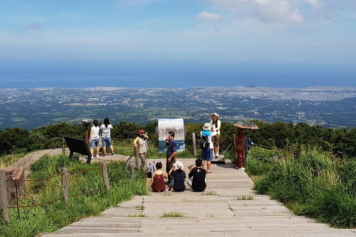 2024 Jeju Premium Small Group UNESCO Day Tour - South Course