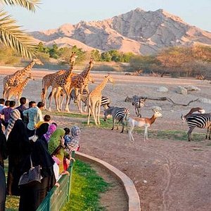 visit private zoo dubai