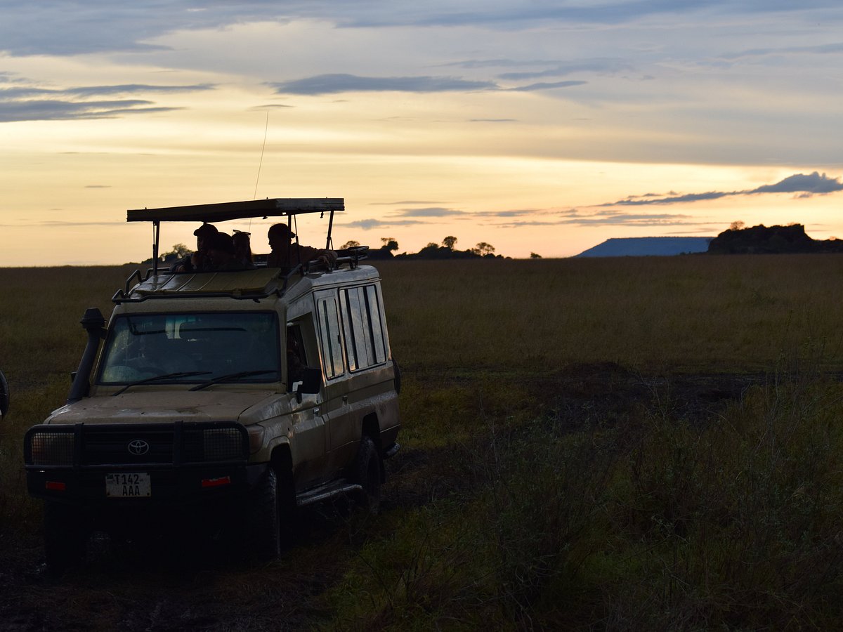 nyumbani tours and safari