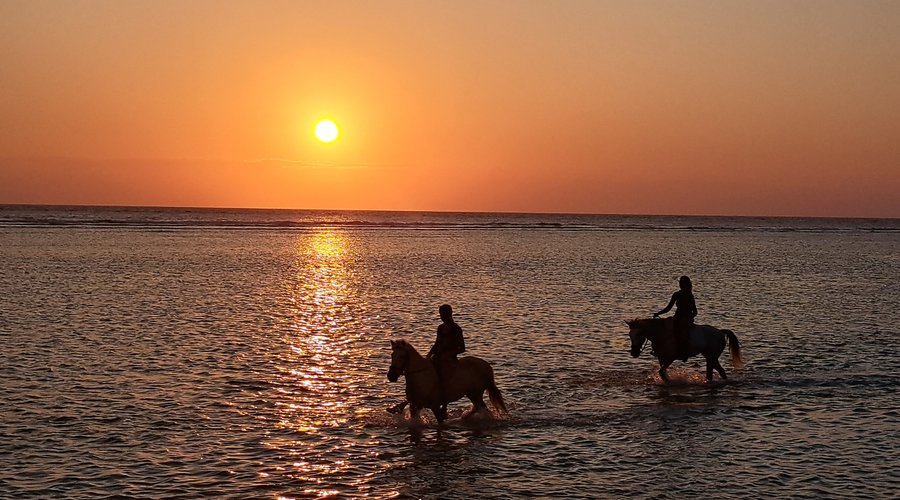 Sunset Horse Riding