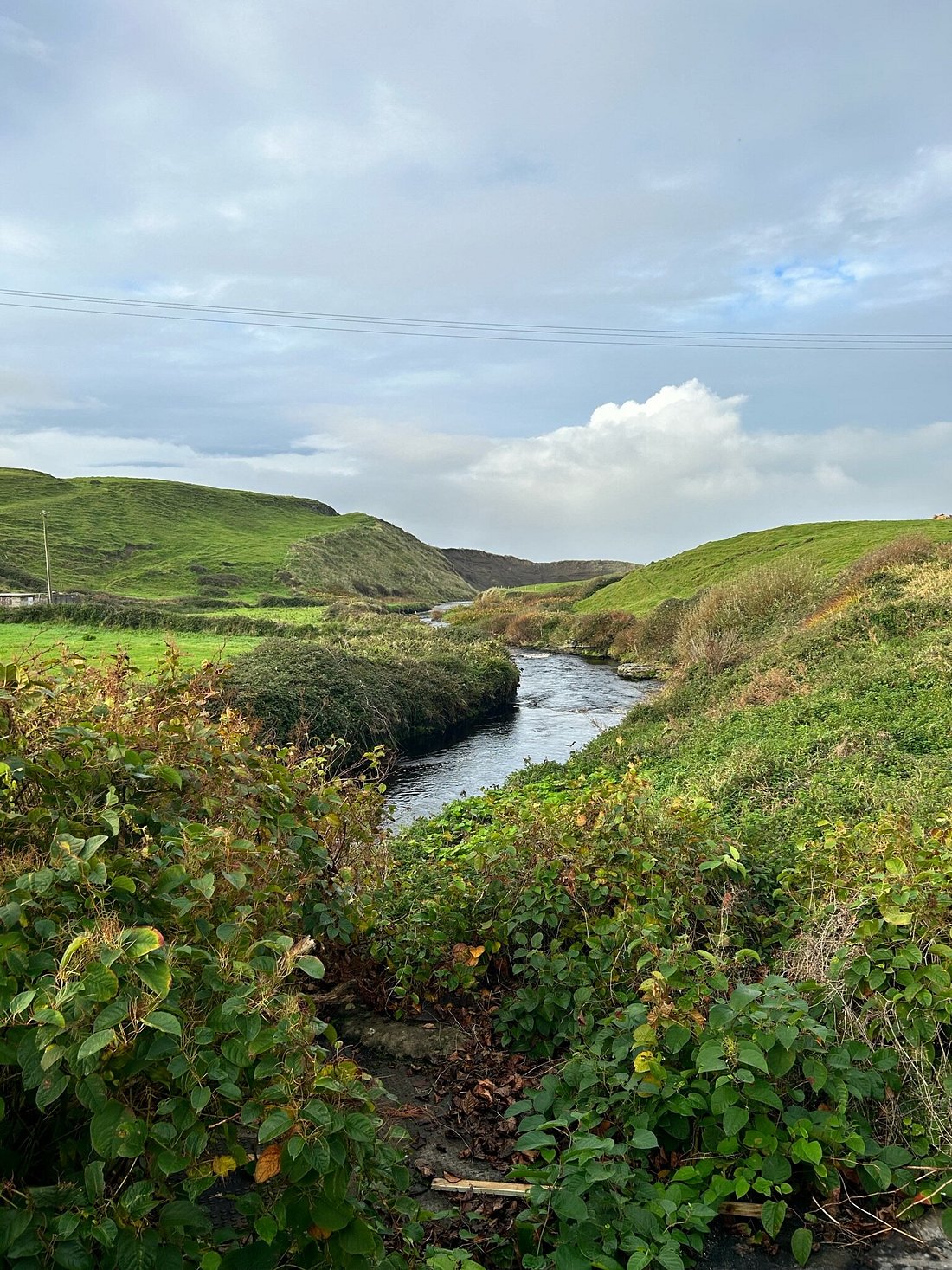 BURREN YOGA RETREATS - UPDATED 2024 Ranch Reviews (Kinvara, Ireland) -  Tripadvisor