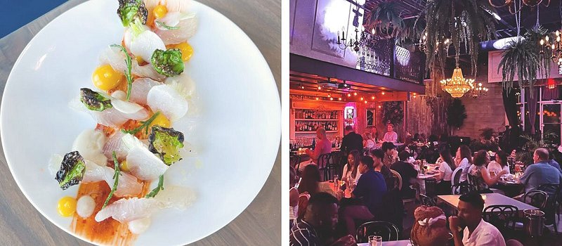 Left: Fancy plating of food; Right: Moody interior of restaurant with hanging plants