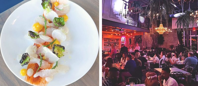 Left: Fancy plating of food; Right: Moody interior of restaurant with hanging plants