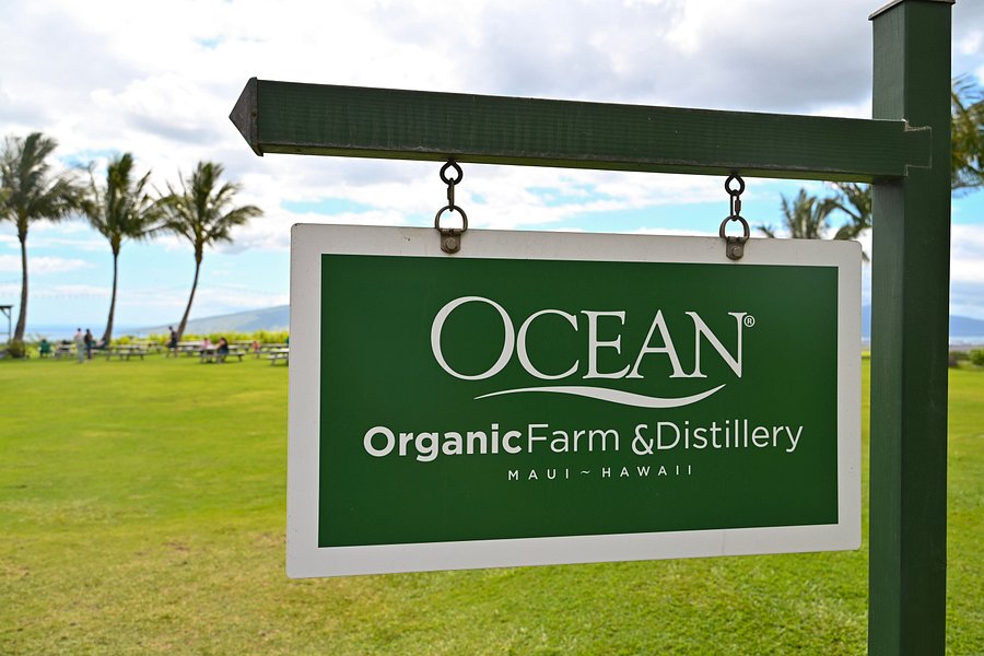 ocean organic vodka tour