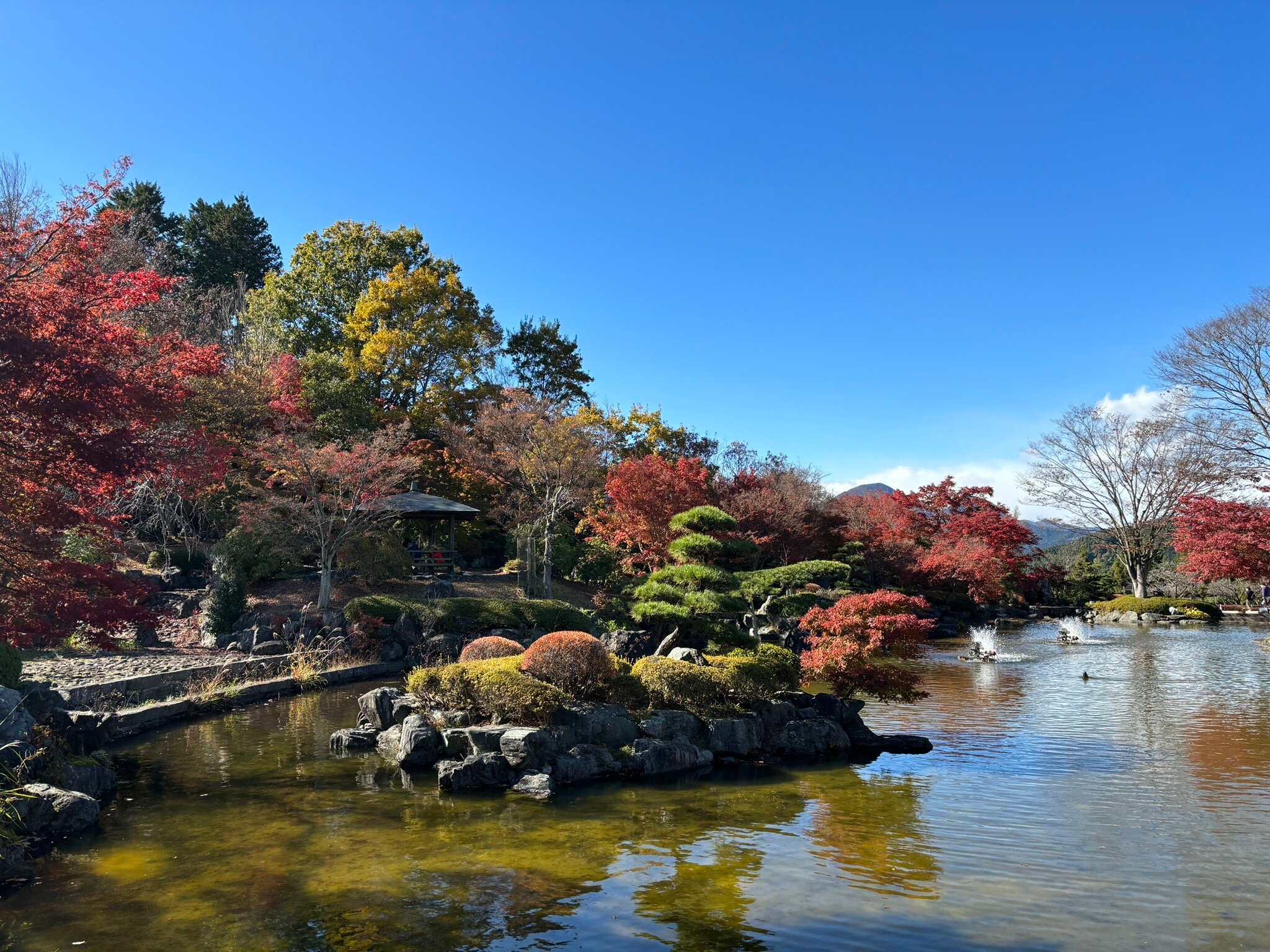 青じその花 (増補改訂版) | 山崎 方代 |本 | 通販 | Amazon