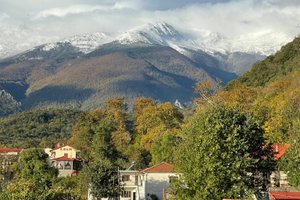 Seyahat Eden