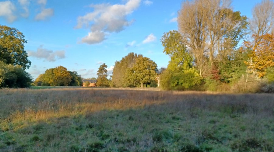Balls Park