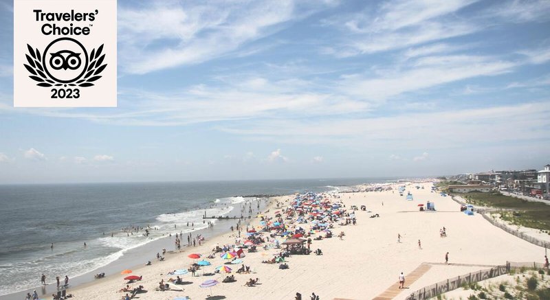 Bird's-eye view of people lining beach