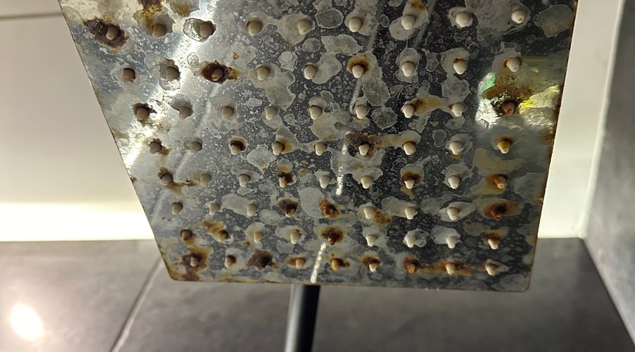 Pommeau de douche qui laisse à désirer, complètement rouillé et sale. 