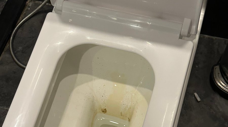 Chasse d'eau qui fuit, tâches marrons. Et encore, nous avions déjà tiré la chasse d'eau une première fois...