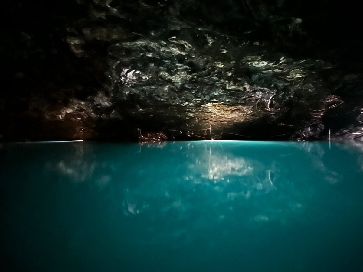 The Lost Sea: Exploring America's largest underground lake in