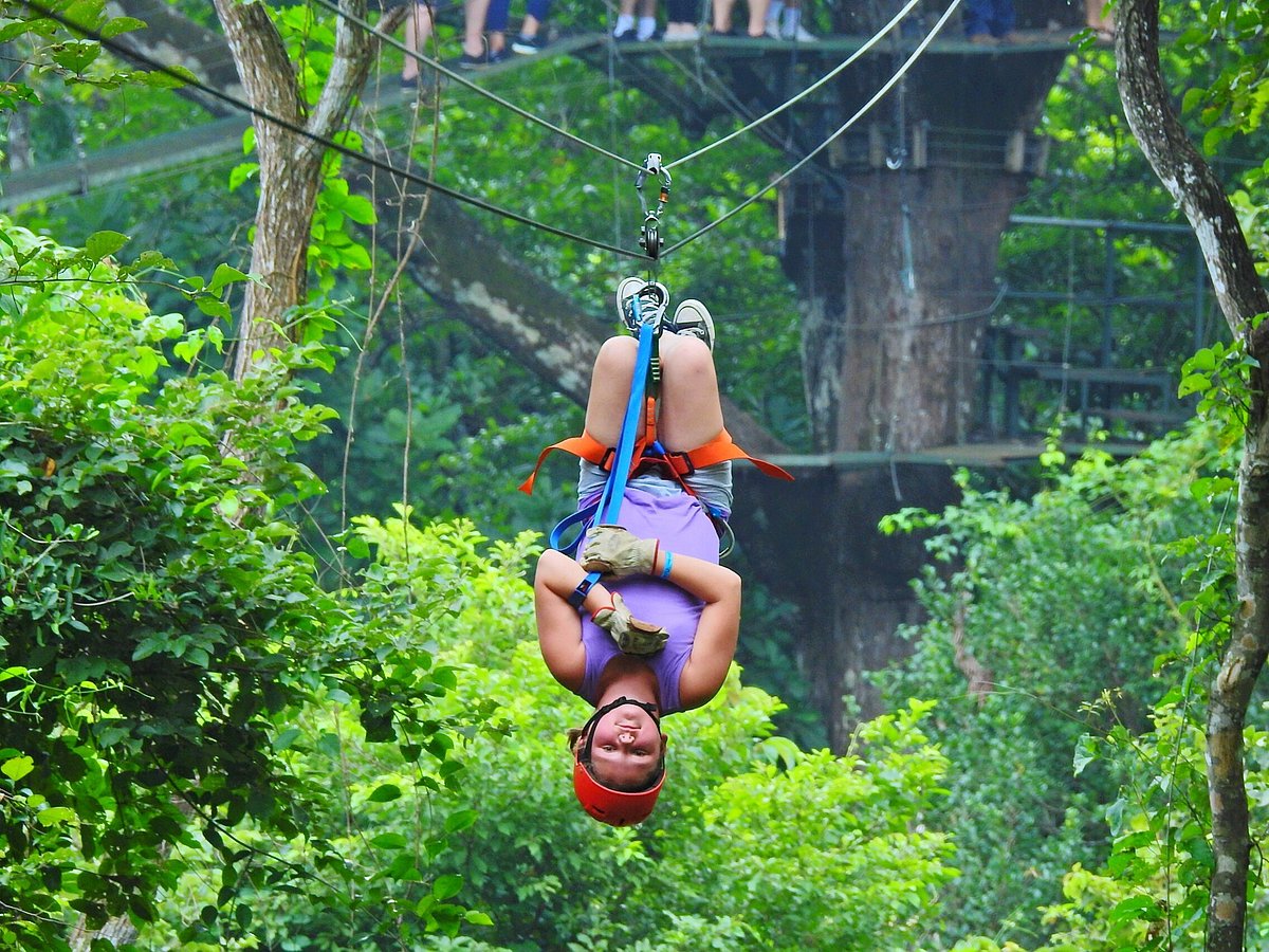 Miravalle Canopy Tour - All You Need to Know BEFORE You Go (with Photos)