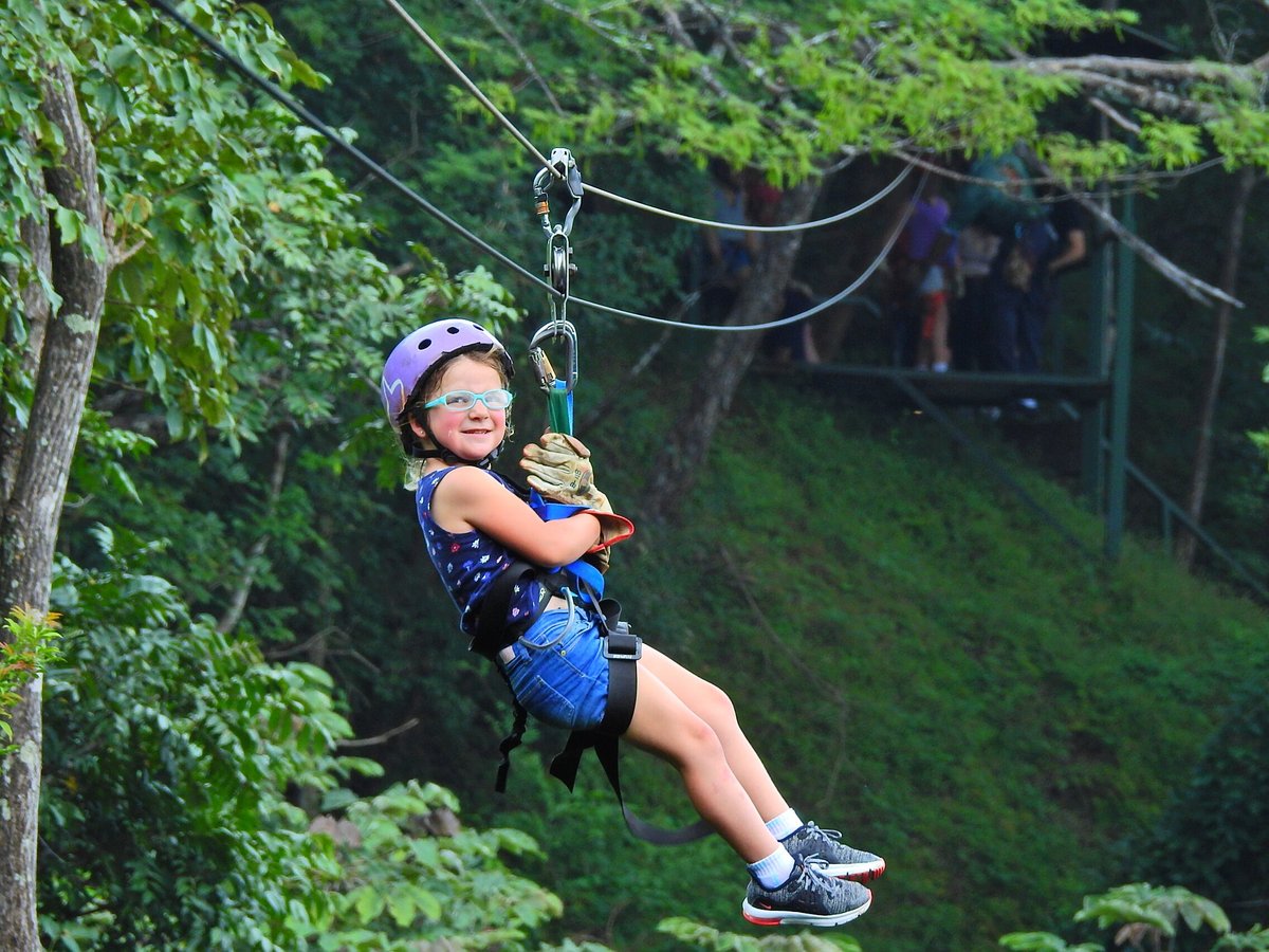 Miravalle Canopy Tour - All You Need to Know BEFORE You Go (with Photos)