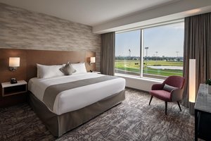 Room & Suite