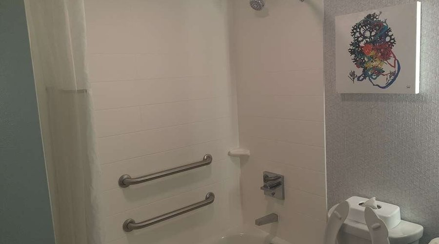ADA Bathtub