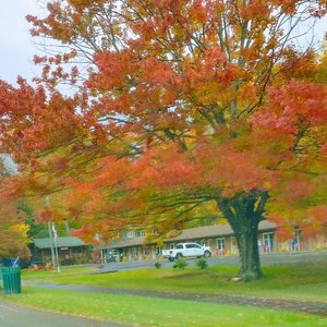 Beautiful in the fall