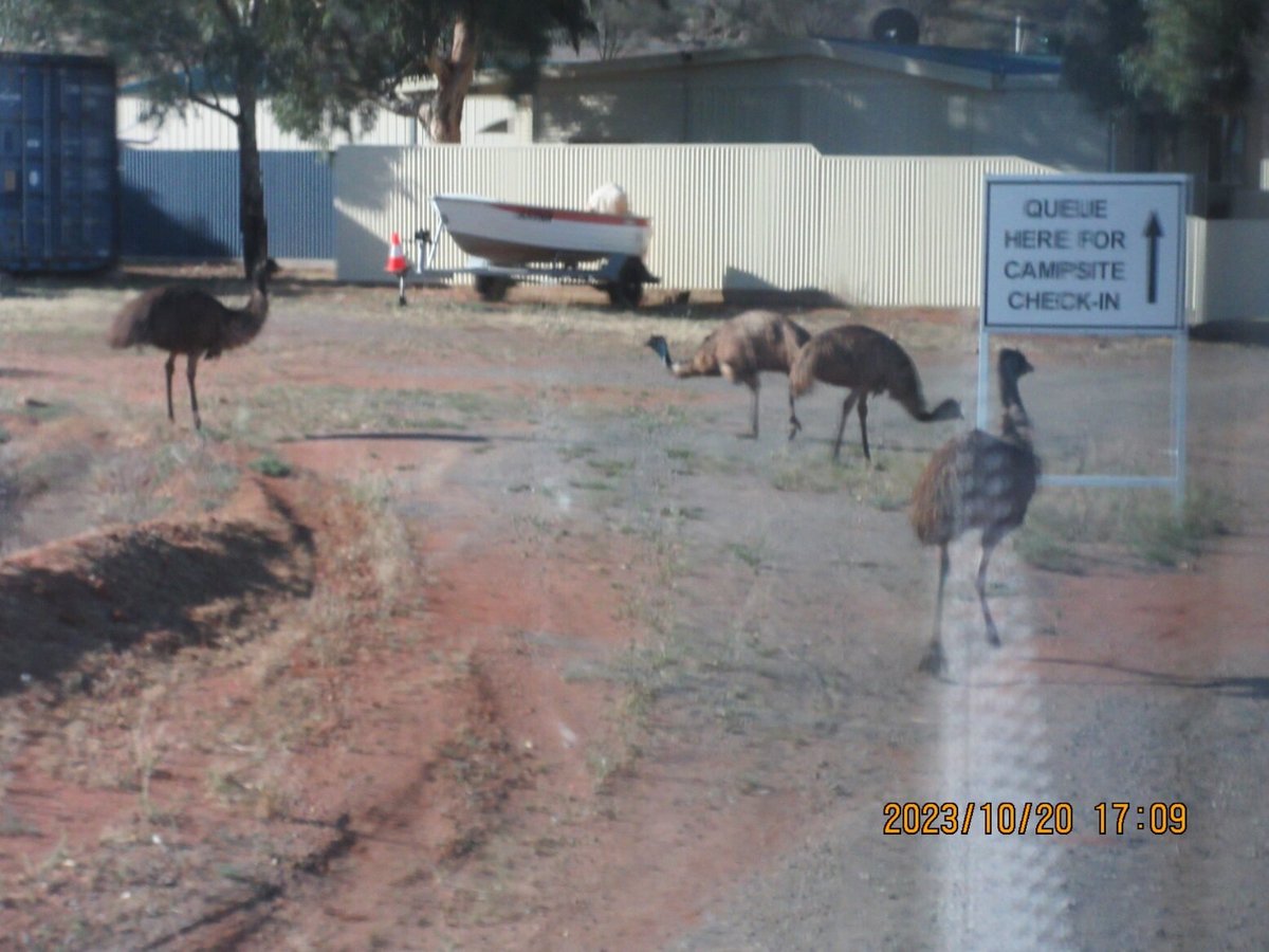 Silver City Tours, Broken Hill: лучшие советы перед посещением - Tripadvisor