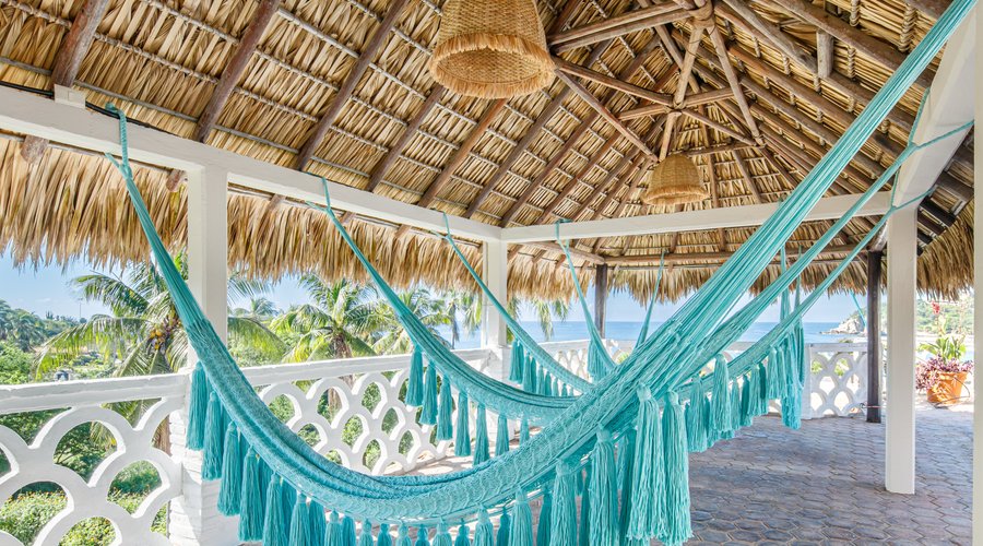 Hammock area