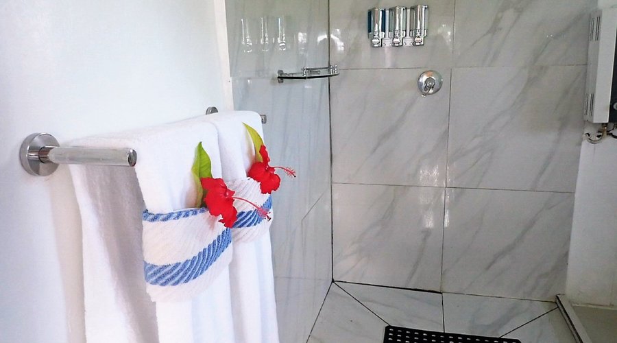 Shower area of the Orchid Studio. 