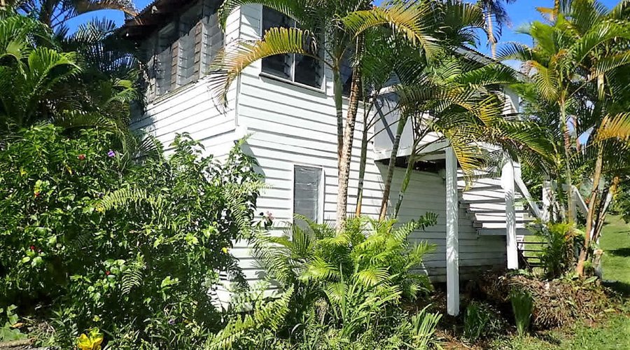 The Orchid Studio is privately situated  on the upper story.  It has a unique view, the inner view is the Golden Palms teeming with life, follows with a sweeping garden view right now to the ocean view below us. The bottom story is a combination of the guests toy room and storage area.  We pride ourselves on giving our guests the utmost in privacy. 