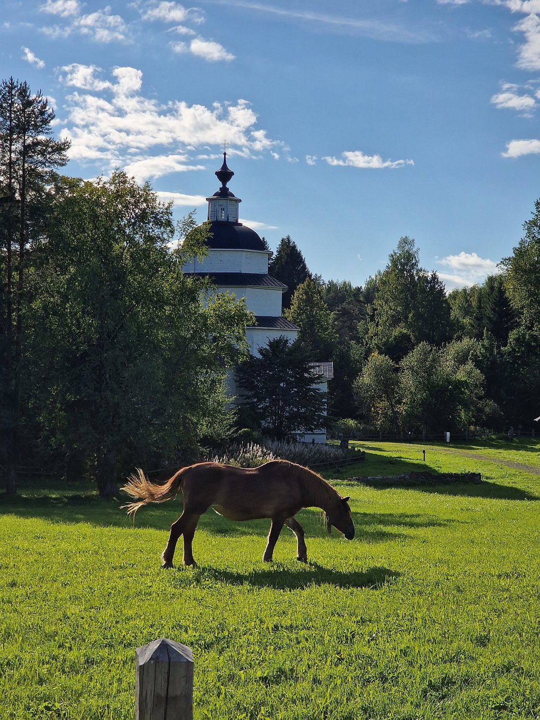 ЦИПИНА ГОРА (Кирилловский район) - отзывы и фото - Tripadvisor