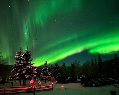 3 Hour Ice Fishing Experience 2024 - Fairbanks - Viator