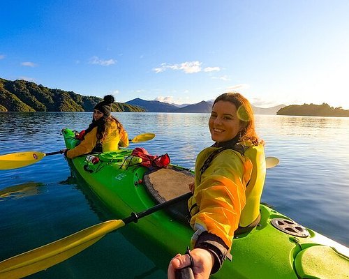 tours from picton nz