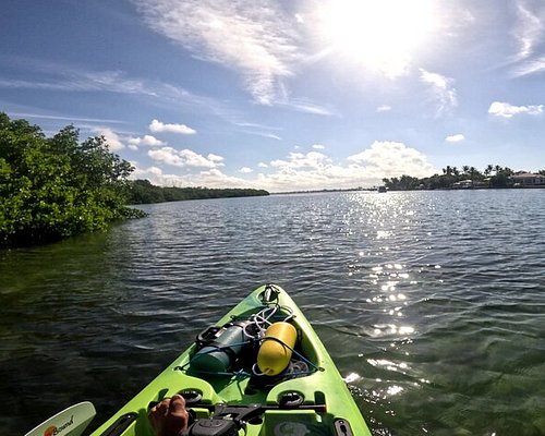 THE 10 BEST Sarasota Kayaking & Canoeing Activities (Updated 2024)