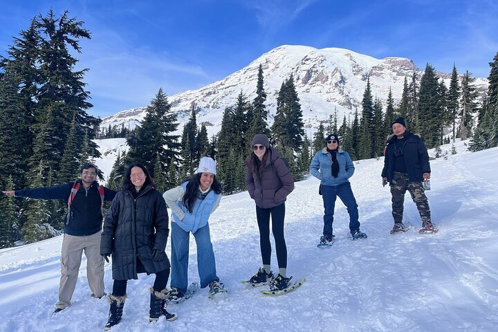 Mt rainier guided clearance hikes